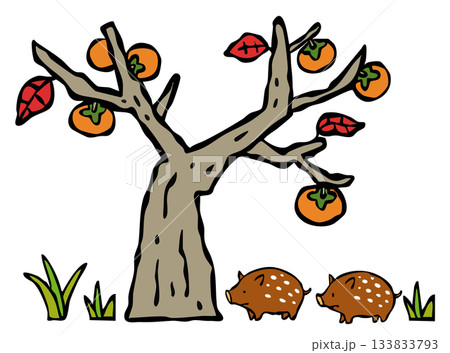 民家の庭に入り込む野生のイノシシ　ウリ坊　柿の木 133833793