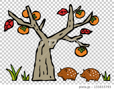 一頭野豬走進私人花園。一棵柿子樹。 一頭野豬走進私人花園。一棵柿子樹。 133833793