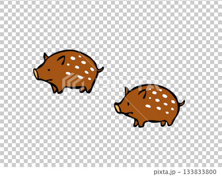 Cute baby boar 133833800