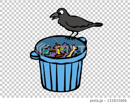 生ゴミを漁るカラス ゴミ対策 カラス 住宅街 生ゴミを漁るカラス ゴミ対策 カラス 住宅街 133833806