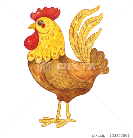Rooster, colorful, beautiful, side view. Hand-drawn watercolor illustration, cartoon. Farm, animals, bird, village, poultry farm, children, Easter, eggs, meat, product, eco-friendly 133833861