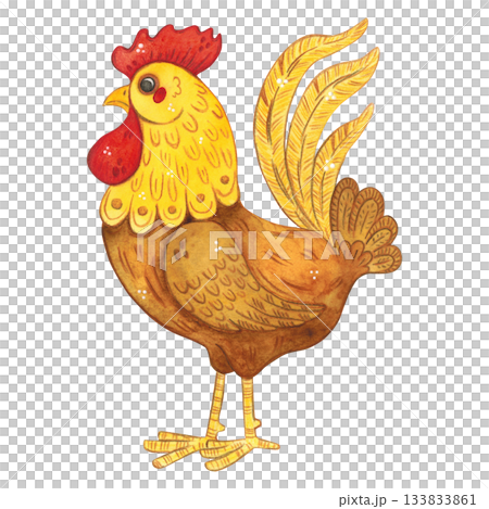 Rooster, colorful, beautiful, side view. Hand-drawn watercolor illustration, cartoon. Farm, animals, bird, village, poultry farm, children, Easter, eggs, meat, product, eco-friendly 133833861