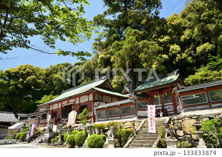 粉河産土神社(拝殿)　【和歌山県紀の川市】 133833874