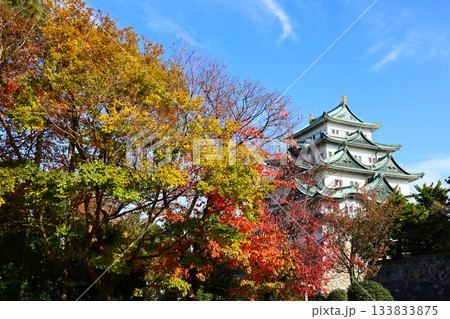 名古屋城と紅葉の色彩豊かな秋の風景 133833875