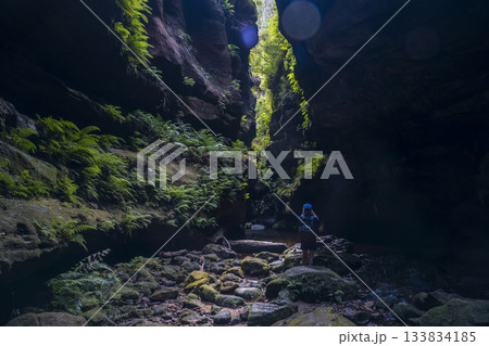 Rear view of hiker taking pictures in Grand Canyon Blackheath Rear view of hiker taking pictures in Grand Canyon Blackheath 133834185
