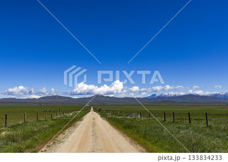Empty dirt road through Camas Prairie Empty dirt road through Camas Prairie 133834233