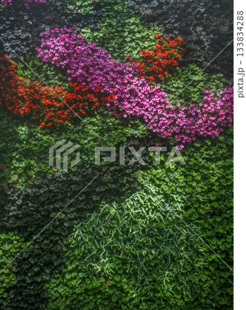 Vertical garden with pink and red flowers 133834288