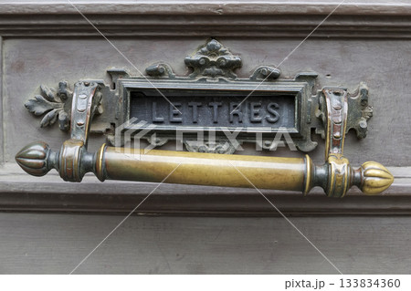 Close-up of Art Nouveau style mail slot on door 133834360