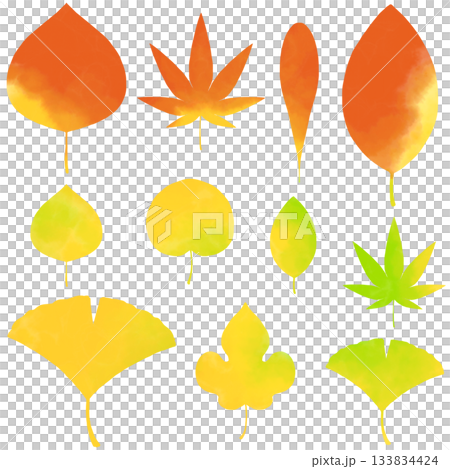 色彩繽紛的落葉插圖,以水彩風格繪製。 色彩繽紛的落葉插圖,以水彩風格繪製。 133834424