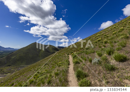 Hiking trail on Carbonate Mountain Hiking trail on Carbonate Mountain 133834544