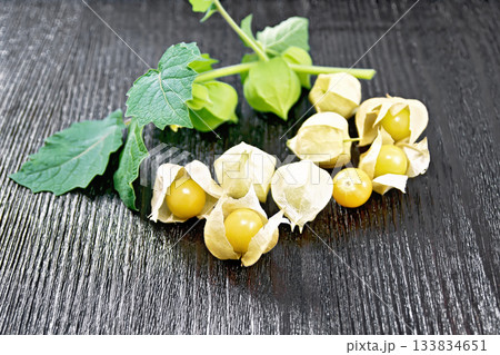 Physalis on black board Physalis on black board 133834651