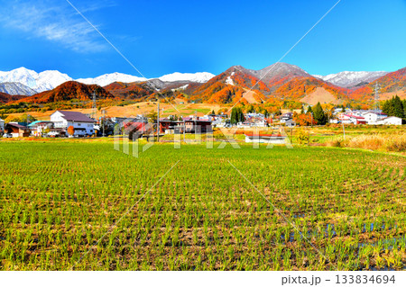 栂池高原スキー場、白馬三山方面を望む(長野県小谷村)【2025.11】 133834694