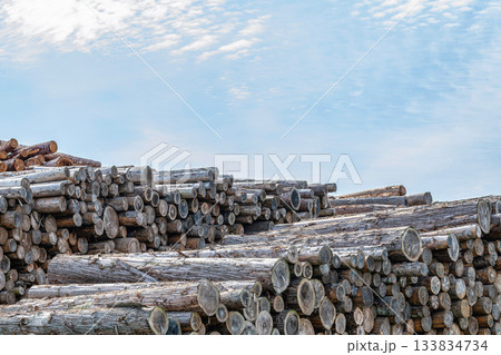 積み上げられた木材(イメージ) 積み上げられた木材(イメージ) 133834734