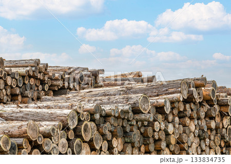 積み上げられた木材（イメージ） 133834735
