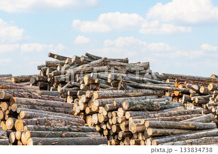 積み上げられた木材(イメージ) 積み上げられた木材(イメージ) 133834738