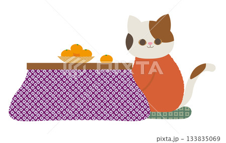 コタツと猫 コタツと猫 133835069