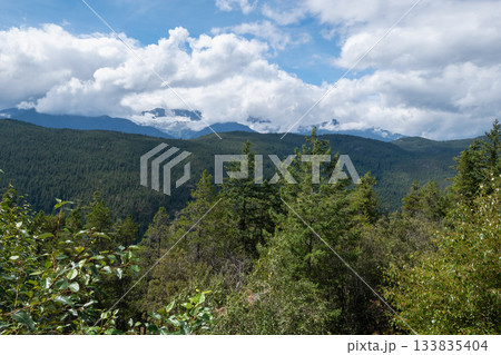 Trees and Whistler Mountains seen from Tantalus Lookout 133835404