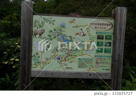 長野県カヤの平の総合案内所の近くにあるカヤの平自然休養林の案内板　2025年8月6日 133835727