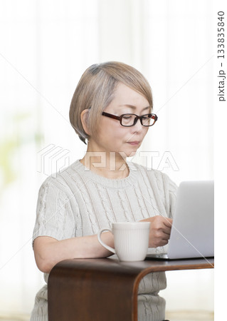 リビングで通帳とパソコンをにらめっこするシニア女性 133835840