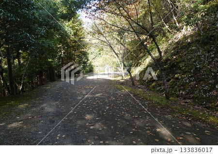 皇大神社から天岩戸神社へ 133836017