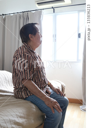 Senior Lifestyle 133836213