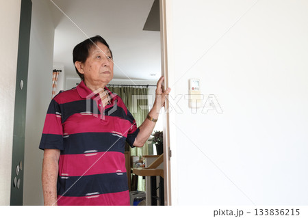 Senior Lifestyle 133836215