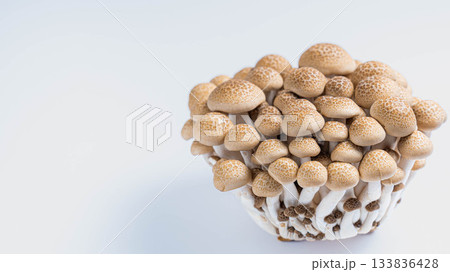 白背景に置かれた新鮮なぶなしめじ 133836428