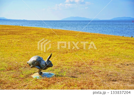 宍道湖と岸公園の風景 133837204