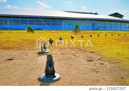 宍道湖うさぎがいる岸公園 133837207