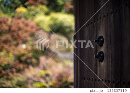 鎌倉2511 成就院3 紅葉 鎌倉2511 成就院3 紅葉 133837519