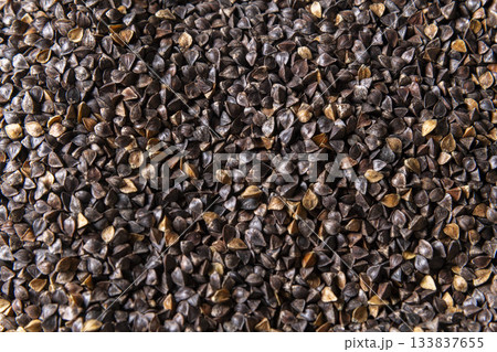 蕎麦の実 蕎麦の実 133837655