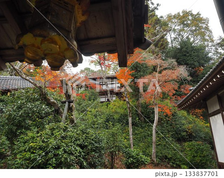 光明寺 133837701