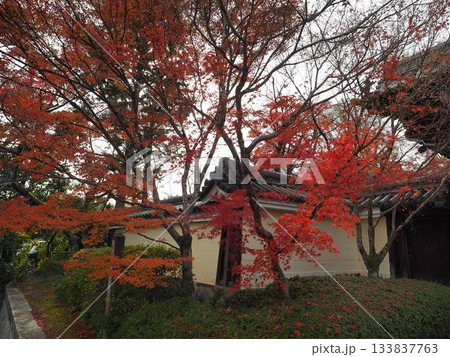 光明寺 133837763