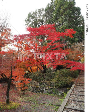 光明寺 光明寺 133837765