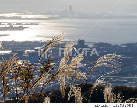 神戸、六甲山の風吹岩からの絶景 133838091