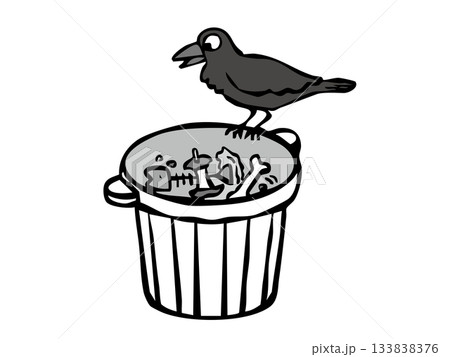 生ゴミを漁るカラス ゴミ対策 カラス 住宅街 生ゴミを漁るカラス ゴミ対策 カラス 住宅街 133838376