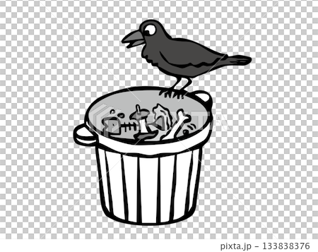 生ゴミを漁るカラス ゴミ対策 カラス 住宅街 生ゴミを漁るカラス ゴミ対策 カラス 住宅街 133838376