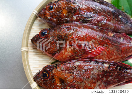 鮮度抜群なカサゴ 133838429