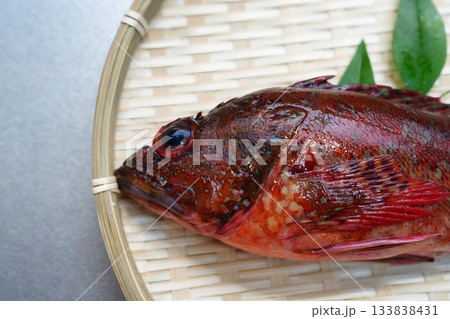 贅沢な海の恵み とれたてのカサゴ 贅沢な海の恵み とれたてのカサゴ 133838431