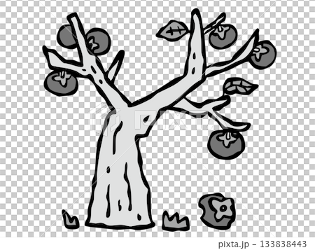 私人住宅裡一棵無人照顧的柿子樹。花園樹。柿子。 133838443