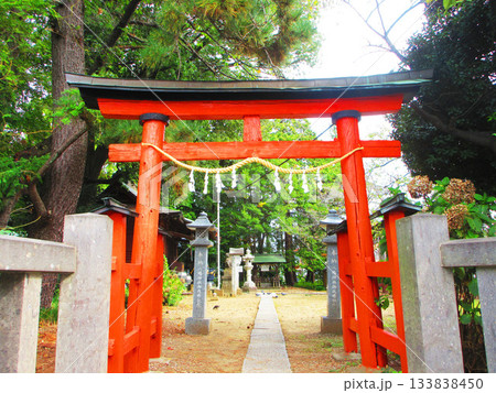 埼玉県川口市八幡木の八幡神社の風景 埼玉県川口市八幡木の八幡神社の風景 133838450