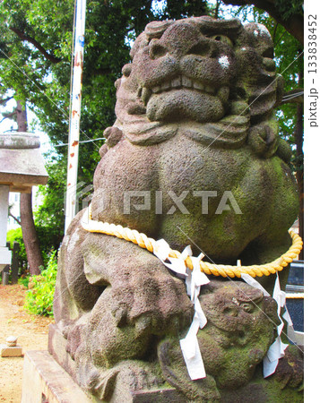 埼玉県川口市八幡木の八幡神社の風景 133838452