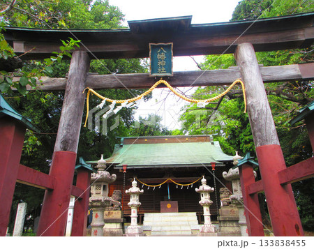 埼玉県川口市八幡木の八幡神社の風景 埼玉県川口市八幡木の八幡神社の風景 133838455