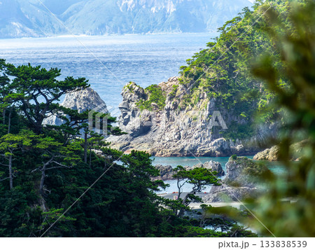 式根島の美しい海岸線から望む景色 式根島の美しい海岸線から望む景色 133838539