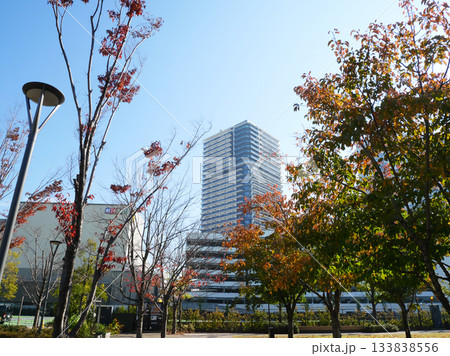 有明ガーデンから見える高層マンション 有明ガーデンから見える高層マンション 133838556