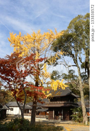 宇宙山乾坤院の紅葉 133838572