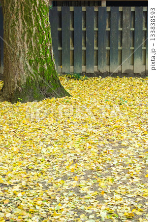 「岡山県」（11月）【紅葉】　紅葉で赤く染まる公園　瓦屋根と紅葉 133838593