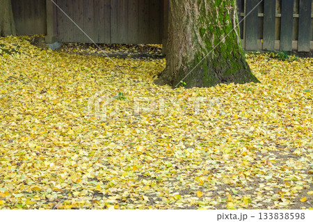 「岡山県」（11月）【紅葉】　紅葉で赤く染まる公園　瓦屋根と紅葉 133838598
