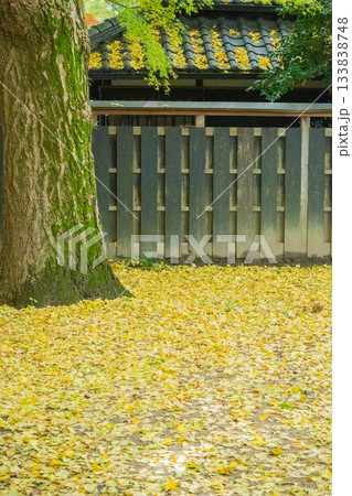 「岡山県」(11月)【紅葉】 紅葉で赤く染まる公園 紅葉狩り 「岡山県」(11月)【紅葉】 紅葉で赤く染まる公園 紅葉狩り 133838748
