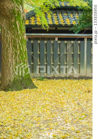 「岡山県」（11月）【紅葉】　紅葉で赤く染まる公園　紅葉狩り 133838950